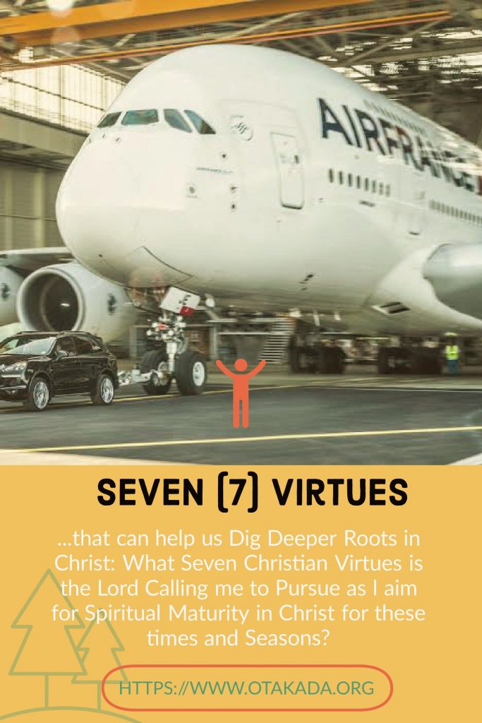 Seven (7) Virtues that can help us Dig Deeper Roots in Christ: What Seven Christian Virtues is the Lord Calling me to Pursue as I aim for Spiritual Maturity in Christ for these times and Seasons?