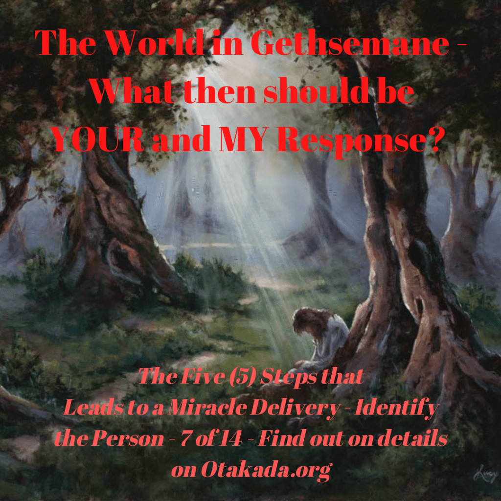 The world in gethsemane season - The Five (5) Steps that Leads to a Miracle Delivery - Identify the person - 7 of 14