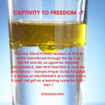 Enough is Enough to Captivity and Welcome to Freedom Part 7