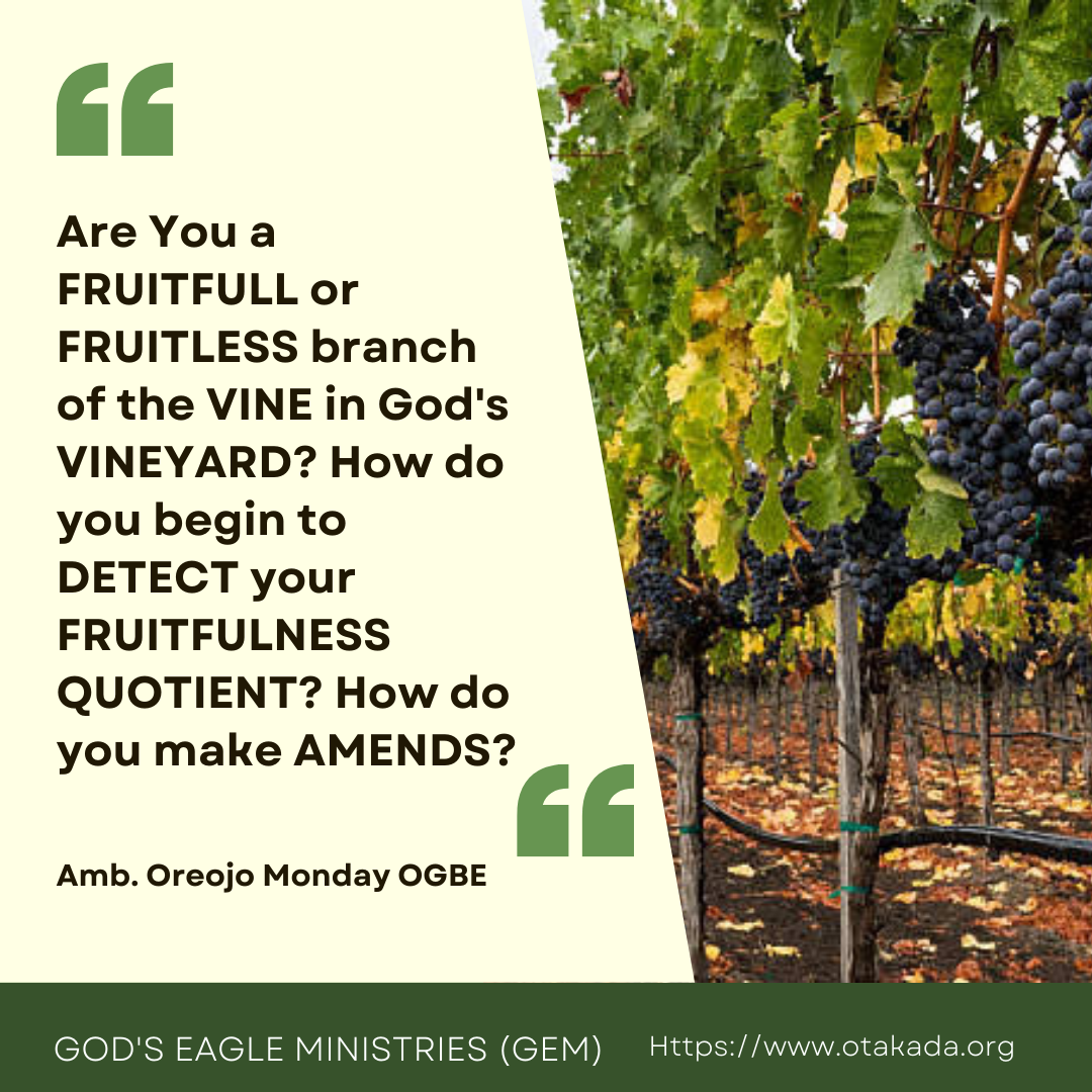 Are You a FRUITFUL or FRUITLESS branch of the VINE in God’s VINEYARD? How do you begin to DETECT your FRUITFULNESS QUOTIENT? how do you make AMENDS? + A Story of a Young Christian struggling with Fruitfulness and how He gained understanding