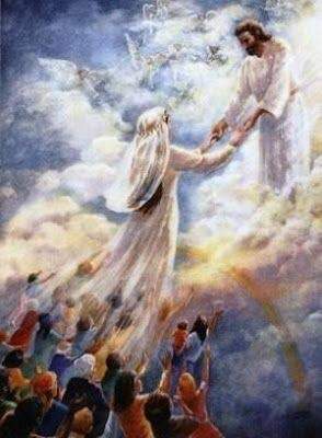 Perfect Testimonies and Images of the Father, Son and Holy Spirit For Edification and focus in the secret place of Communion 19 Perfect Testimonies and Images of Father, Son, and the Holy Spirit