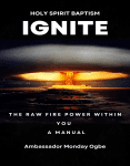 New Book Release: Ignite the Raw Fire Power Within You – The Holy Spirit Baptism Manual – Paperback and ebook
