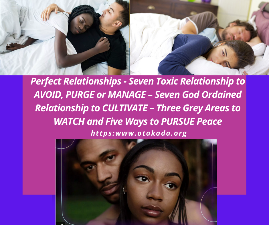 Perfect Relationships: Seven Toxic Relationship to AVOID, PURGE or MANAGE  - Seven God Ordained Relationship to CULTIVATE - Three Grey Areas to WATCH and Five Ways to PURSUE Peace