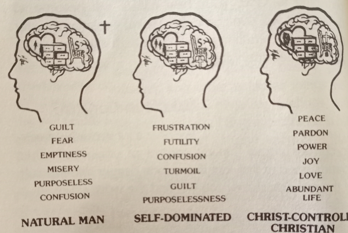 Different classification of man