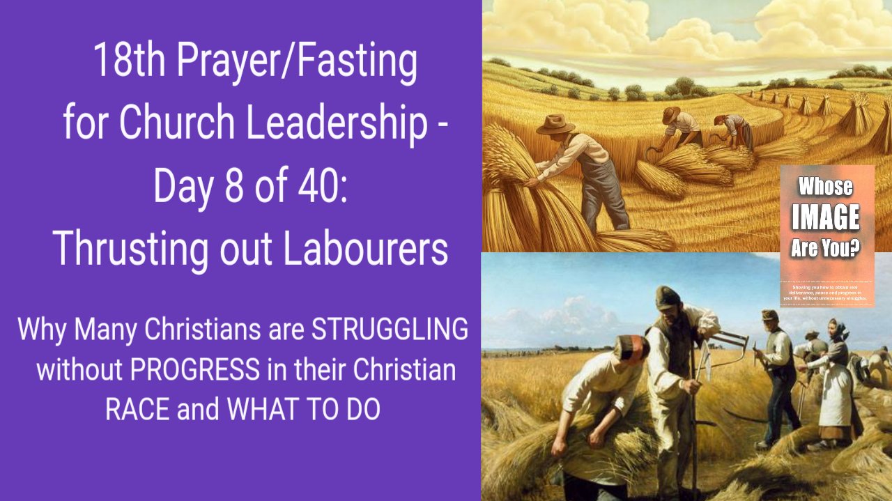 Why Many Christians are STRUGGLING without PROGRESS in their Christian RACE and WHAT TO DO –  Day 8 of 40 Prayer and Fasting for church and leadership – Pray to THRUST OUT Labourers into the harvest