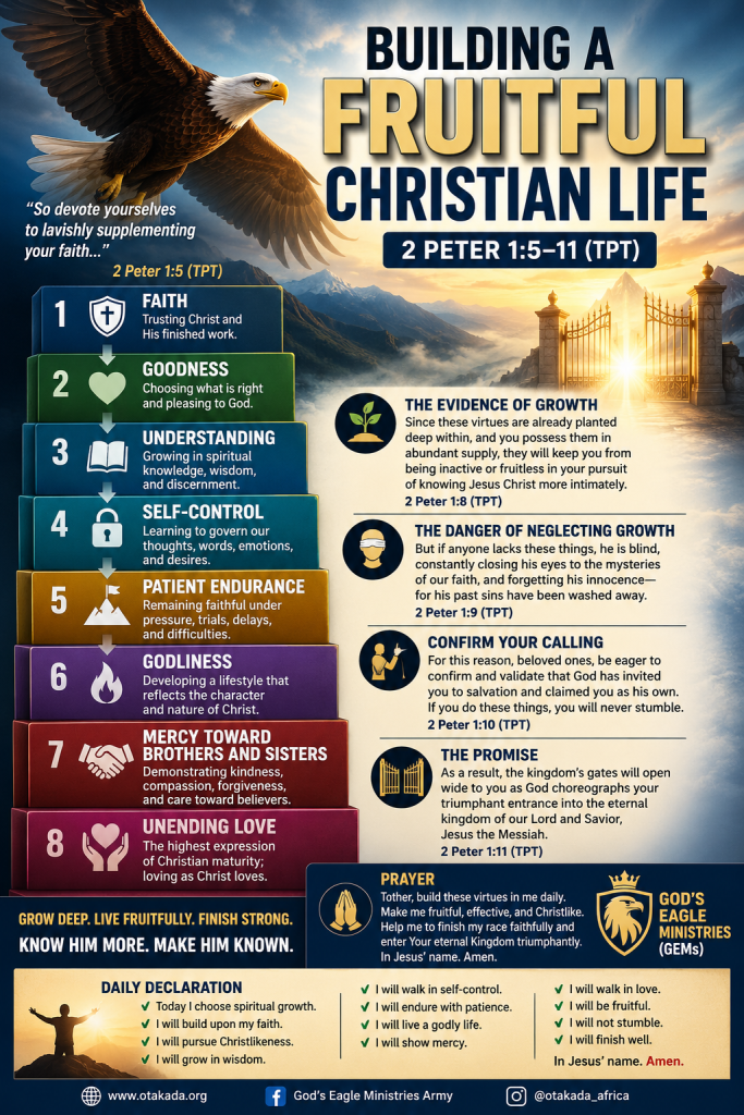 BUILDING A FRUITFUL CHRISTIAN LIFE - REFLECTIONS IN A TROUBLED WORLD - 2 Peter 1:5-11 2 BUILDING A FRUITFUL CHRISTIAN LIFE - REFLECTIONS IN A TROUBLED WORLD - 2 Peter 1:5-11